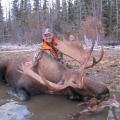 Canada Moose Hunts
